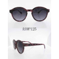 Sunglasses Vogue Designed Square Frame Plastic As9p125